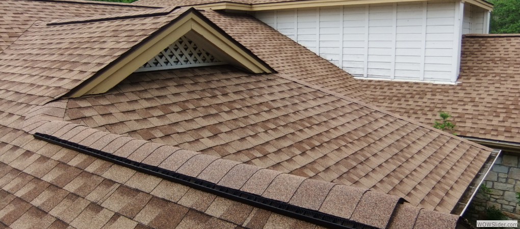 Shingle Roof Shingle Roof