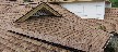 Shingle Roof